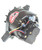 ARC60195.jpg