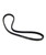 CAT5M8137.jpg