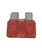 GENFS79540.jpg