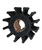 JP09-801B.jpg