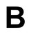 BERBB.jpg