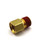 MPL22862557.jpg