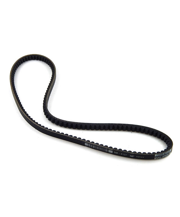 CAT5M8137.jpg