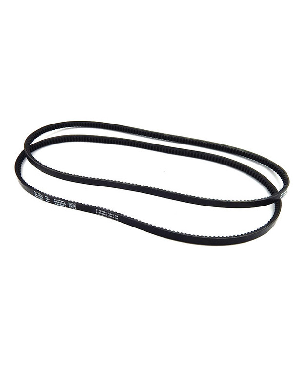 CAT1S-1193.jpg