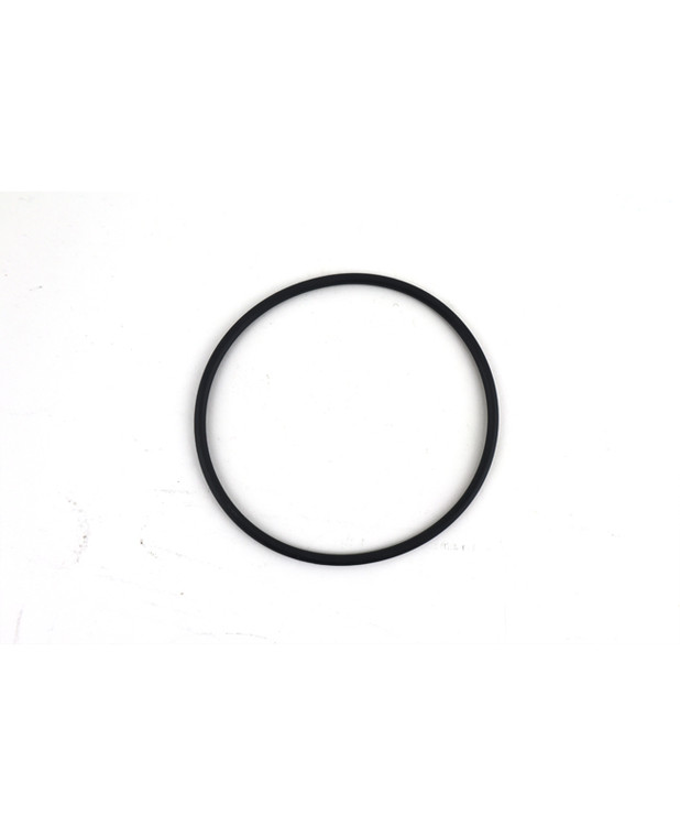 ALT1393484.jpg