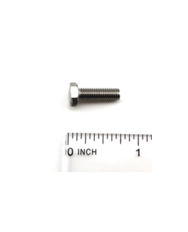 BJM806290.jpg