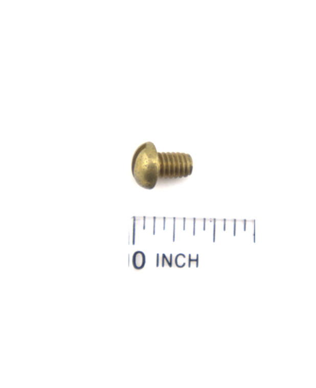 OMC306559.jpg