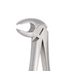 Diamond Extraction Forceps Fig. 22. Lower Molars