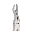 Diamond Extraction Forceps Fig. 67A. Upper Molars-For Upper Wisdom Teeth