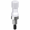 Straight Multiunit Abutment - 2.0mm Collar Height - 5.0 (WP) - 40.006/2 Straight Multiunit Abutment - 2.0mm Collar Height - 5.0 (WP) - 40.006/2