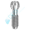 Screw for Angulated Screw Channel - 19.328 (DC)