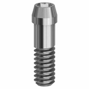 Final Screw - 4.8 - 19.061 Final Screw - 4.8 - 19.061