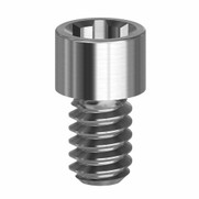 Final Screw - Multiunit - RP - 19.006-P10 Final Screw - Multiunit - RP - 19.006-P10