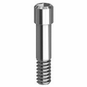 Final Screw - 3.4/4.1/5.0 - 19.011-P10 Final Screw - 3.4/4.1/5.0 - 19.011-P10