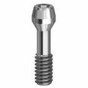 Final Screw - Low Profile - 19.048-P10