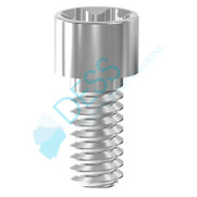 Flat Seat Final Screw for Multibase - 19.105P10 (10 Pack) Flat Seat Final Screw for Multibase - 19.105P10 (10 Pack)