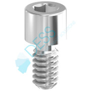 Final Screw on 3i Low Profile Abutment - 19.106-P10 Final Screw on 3i Low Profile Abutment - 19.106-P10