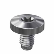 Holder Screws TMSV-P3