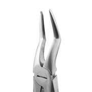 Diamond Extraction Forceps Fig. 51A. Upper Roots