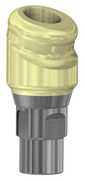 18° Angled DESSLoc® Abutment - 4.1 (RC) - 2mm Collar Height - 87.042/2