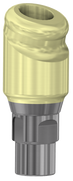 18° Angled DESSLoc® Abutment - 4.1 (RC) - 3mm Collar Height - 87.042/3