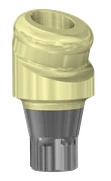 18° Angled DESSLoc® Abutment - 3.6 (EV) - 2mm Collar Height - 87.059/2