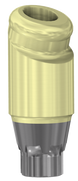 18° Angled DESSLoc® Abutment - 4.2 (EV) - 4mm Collar Height - 87.060/4