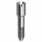 Final Screw - 3.4/3.8/4.5/5.5 - 19.024 Final Screw - 3.4/3.8/4.5/5.5 - 19.024