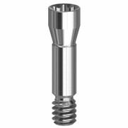 Final Screw - 3.3/4.1/4.8 (NC/RC) - 19.037