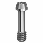 Screw for ANGLEBase®  - 4.3 (RP)/5.0 (WP) - 19.405 Screw for ANGLEBase®  - 4.3 (RP)/5.0 (WP) - 19.405
