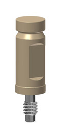Intraoral Scan Abutment Intraoral Scan Abutment