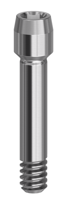 Final Screw - Mini - 19.072