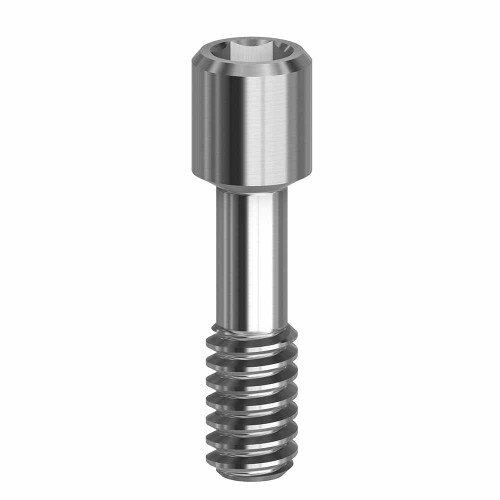 Final Screw - NP/SP - 19.056 Final Screw - NP/SP - 19.056