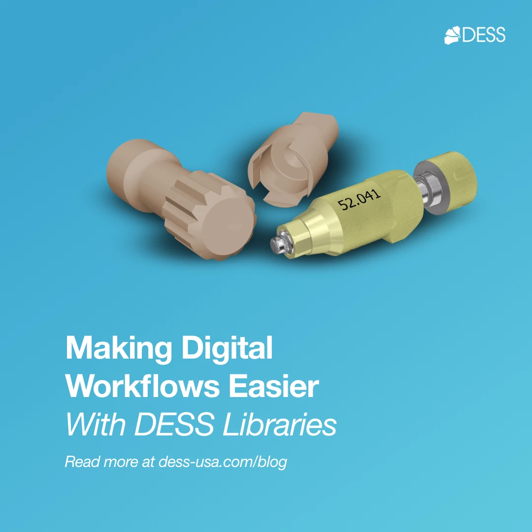 A Practical Guide to DESS Library Integration