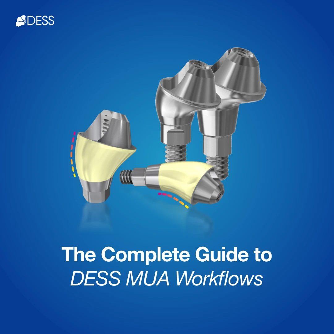 The Complete Guide to DESS MUA Workflows