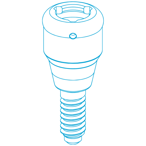 DESSLoc® Abutments compatible 