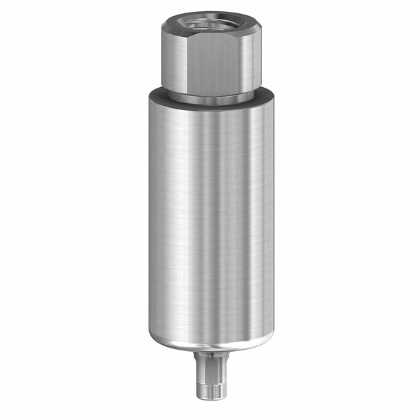 上品なブランド - (RC) 4.1/4.8 - Blank Titanium Premilled 61.044 with comp. 置物