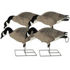 GHG XD Series Full-Body Honkers - Feeder 4 Pack