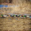 Avery Outdoors Pro-Grade Mallard Full Body Feeder Pack Duck Decoys