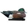 Avian-X Topflight Wigeon Duck Decoys