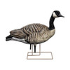 Avian-X AXP Fusion Honker Decoy Pack