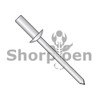 1/8X.06-.12  Closed End Stainless Steel Rivet Stainless Steel Mandrel (Box Qty 1000)