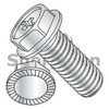 6-32X5/8  Phillips Indented Hex Washer Head Serrated Machine Screw Fully Threaded Zinc (Box Qty 7000)  BC-0610MPWS