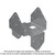 Simpson Strong-Tie BCS2-2/4SS