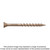 Simpson Strong-Tie DSVG3S Deck-Drive™ DSV WOOD Screw (Collated) — #10 x 3 in. T25 6-Lobe, Gray (1000-Qty)