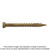 Simpson Strong-Tie FT07112MB Finish Trim Screw — #7 x 1-1/2 in. T10, Trim-Head, Quik Guard®, Tan (4000-Qty)