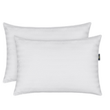 2 PACK PILLOWS