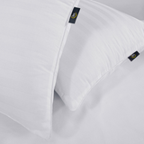 Serta Comfy Sleep Bed Pillows (2 Pack)