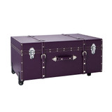 Texture® Brand Trunk - Downtown Purple