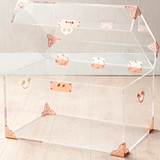 Ciao Bella Acrylic Trunk - Rose Gold